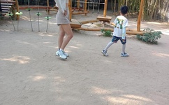 我们换个地方做吧未增删樱花视频